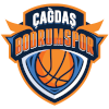 https://img.9ccr.com/img/basketball/team/8b1e25c5d2bd93d0accfbaba14185f05.png