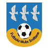 https://img.9ccr.com/img/football/team/259a1106a33b56d2bb3c458a62ffa2ea.png