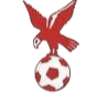 https://img.9ccr.com/img/football/team/4802d26df935b78bb2fcdbbff36e8864.png