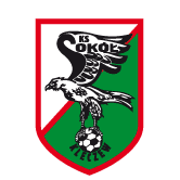 https://img.9ccr.com/img/football/team/e6a8908dd206e2ea02d9803c82c60bba.png